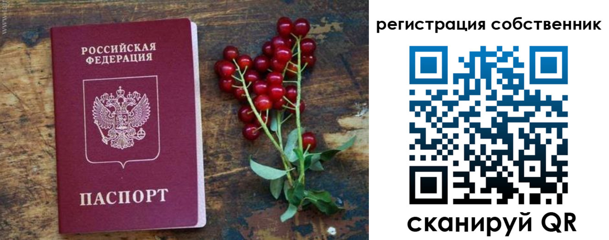 регистрация для дет. сада в Заводоуковске
